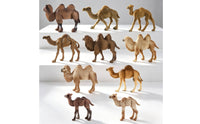 10 Pieces Camel Figurine Mini Figurine Collectible Miniature for Hobbyists, Collectors, Dioramas