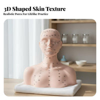 Multi-Function Massage Training Mannequin Reusable Acupoint Model Bust Long-Lasting for Students, Beginners