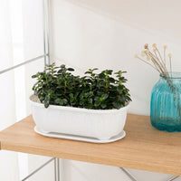 Planter Pot and Ribbed Resin Planting Box with Drip Tray, Simple Style Pots Window Vegetable Garden Planter, Floor Standing Large Plant Pots