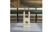 10 Pieces Replacement Part Piano Action Coil High Quality Piano Coil Hook Easy to Install Musical Instrument Parts
