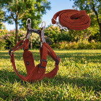 Small Dog Harness and Leash Set, Suede Vest Style Harness for Medium Dog Harness, Solid Dog Vest Harness for Outdoor Cat Walking, Small Medium