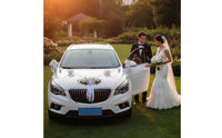 Wedding Car Flower Ribbon Kit Elegant & Love-Filled Wedding Car Decoration Set Event Supply New Design Easy to Install