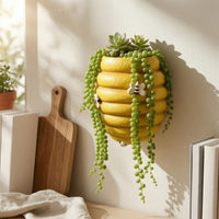 Organic Resin Bee-Colony Wall Planter Lightweight Honeycomb Planter Space Saving Wall Mounted Plant Holder Indoor Plants