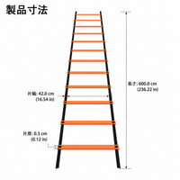 agility ladder
