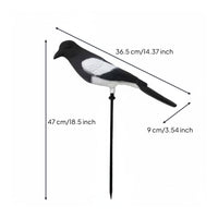 Waterproof Fake Magpie Plastic Realistic Magpie Model Lifelike Outdoor Bird Prop Weather-Resistant for Yard, Orchard
