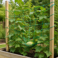 Plant Trellis Netting for Climbing Vines, Fruits, and Vegetables