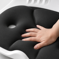 back support cushion