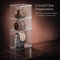 Clear Stackable Storage Organizer with Door, Transparent Container Multi-Layer, Shelf for Minimalist Home