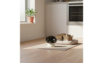 Easy to Clean Raised Ceramic Cat Bowl Dishwasher Safe Raised Ceramic Pet Dish Non-Slip Base Tilted Pet Food Bowl for Cats