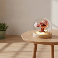 Night Light with Dome Cover Warm LED Glowing Miniature Landscape Decorative Tree Light Ambient Lamp Safe for Bedside Table, Desk