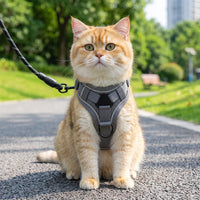 Cat Vest Harness with Reflective Strips, Breathable Mesh Vest Style Harness for Training, Kitten Walking Harness and Outdoor Cat Leash Set