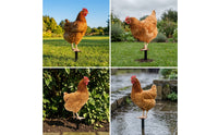 3 Pieces Chicken Garden Stake Weatherproof Acrylic Chicken Stake Decorations Waterproof Farmhouse for Gardeners, Lawn