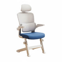 Ergonomic Design rotating Task Chair with Flip-up Arms Height Adjustable Computer Seat Breathable spinerest Office Furniture for Teenagers, Students