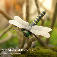 Highly Intricate Ed Large Realistic Toy Educational Realistic Figures Long-Lasting for Students, Teachers, Pranks, Education, Classroom
