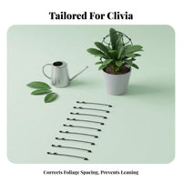 Promotes Symmetrical Growth Clivia foliage Alignment Tool Adjustable Design Plant guide Gardening Accessory for Gardeners, Balcony, Office, Home
