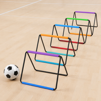 agility ladder