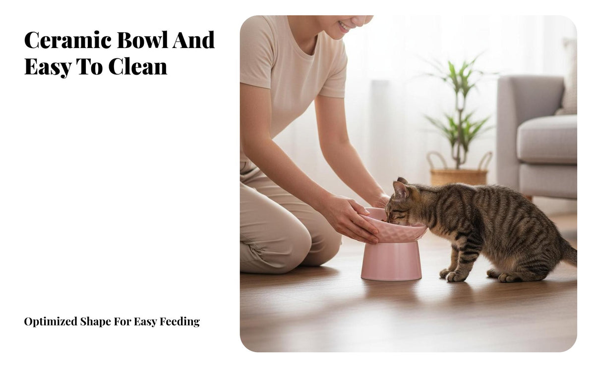 Ergonomic Elevated Ceramic Cat Bowl Stable Base Elevated Cat Bowl Easy to Clean for Kitten Owners, Feeding Station, Kitchen, Living Room