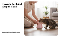 Ergonomic Elevated Ceramic Cat Bowl Stable Base Elevated Cat Bowl Easy to Clean for Kitten Owners, Feeding Station, Kitchen, Living Room