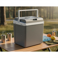 Portable Car Refrigerator Large Capacity 12V Portable Refrigerator Power Adaptable Powered Electric Cooling Car Fridge for Campers, Camping