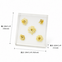 High Transparency Display Block, Plant Interior Cube for Photography