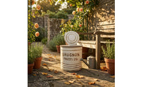 Embossed Lettering Round Backplate Planter Ribbed Rustic Wall Planter