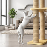 Space Capsule Cat Bed and House with 5 Density Board Levels, Climbing Frame Featuring 3 Enclosed Condos and 6 Posts