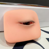 Eyelash Extension Practice Head with Liftable Eyelids, Beginner Eye Model, Three-Layer Lashes for Training, Reusable