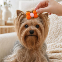 pet hair clips