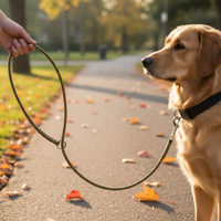 Dog Training Slip Leash Anti-Pull P-Chain for All Breeds