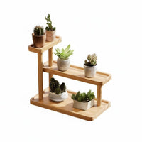 Multitier Design Tiered desert plant Rack Mobile with casters Tiered Plant Display Desktop accommodating Household Organizer Space-Saving for Home Decorators, Office Workers, Gift Givers, Balcony, Windowsill, desktop surface, Living Room