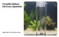 Transparent Planaria Catcher Glass Design Safe Reusable for Aquariums