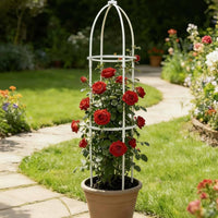 European Design Potted Plant Climbing Frame Weather Resistant Garden Obelisk Trellis Heavy Duty Flowering Vine Structure Enclosure Rustproof for Gardeners, Balcony, Patio