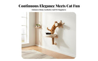 Pegboard Cat Climber Transparent Space Capsule personalizedizable Cat Activity vertical panel-mounted DIY Layout Pet Furniture for People with Small Homes