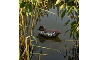 Floating Duck Decoy Lifelike Duck Decoy Pond Ornament Lightweight Sculpture Plastic for Pool, Garden