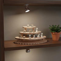 Corner Display Shelf Sturdy Construction 3-Tier Wooden Display Stand Large Capacity Fan-Shaped Organizer Rack for Vanity, Dresser