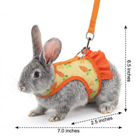 Pet Harness and Leash Set, Printed Polyester Walking Vest and Bunny Harness, Adjustable Vest for Small Pets, Comfortable Fit Outdoor Walking Use