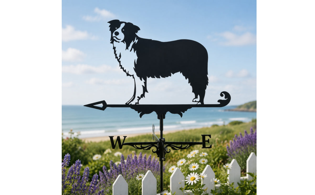 Border Collie Weathervane Stainless Steel Border Collie Wind Vane European Design Dog Weathervane for Yard, Rooftop, Farm
