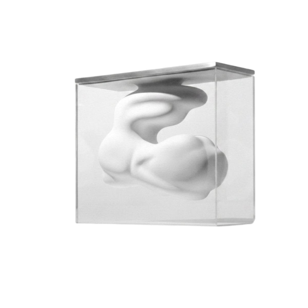 Abstract Tabletop Vase Centerpiece Sculptural Home Decor Clear Acrylic Vase Ornament for Desktop, Living Room