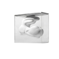Abstract Tabletop Vase Centerpiece Sculptural Home Decor Clear Acrylic Vase Ornament for Desktop, Living Room