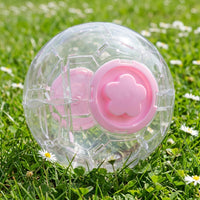 Portable Hamster Ball, 5.7 Inch Clear Hamster Exercise Ball for Dwarf Hamsters, Transparent Design with Snap-fit Assembly and Rope