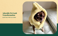 Dog Sweatshirt, Chihuahua Hoodie, Warm Winter Outfit