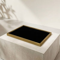 Jewelry Display Tray Rectangular Jewelry Tray with Velvet Lining Shielded for Collectors, Boutique