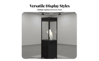 Aluminum Alloy Frame Glass Display Case Adjustable Shelves Glass Door Display Case Multi-Purpose Freestanding Curio Cabinet Easy to Assemble for Exhibitors, Museum Personnel, Exhibition, Retail Shop, Living Room, Home Office