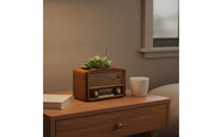 Vintage Radio Flowerpot Indoor Radio Planter Tabletop Planter with Antenna for Plant Lovers