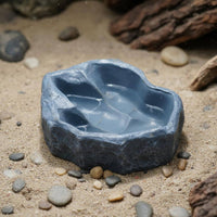 Dinosaur Footprint Bowl Decorative Landscaping Piece Tyrannosaurus Footprint Feeding Bowl Pet Food and Water Dish Non-Porous