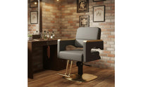 Hydraulic Barber Chair Adjustable Height Swivel Hair Cutting Chair Ergonomic Design for Barbers, Hairstylists, Barbershop, Beauty Parlor