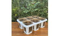 Planting Tray with Pots Drainage-Friendly Six-Slot Planter Tray Strong Nursery Pot with Drain Holes for Hobbyists
