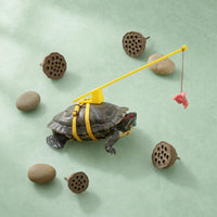Turtle Walking Leash Telescopic Turtle Leash Harness Rod Handle Pet Tortoise Walking Rope for Outdoor