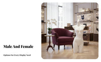 Long-Lasting Lingerie Display Mannequin Sturdy Underwear Display Model Lightweight for Photography Studio