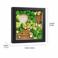 moss art frame